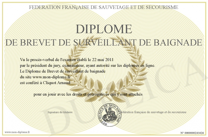diplome surveillant de baignade